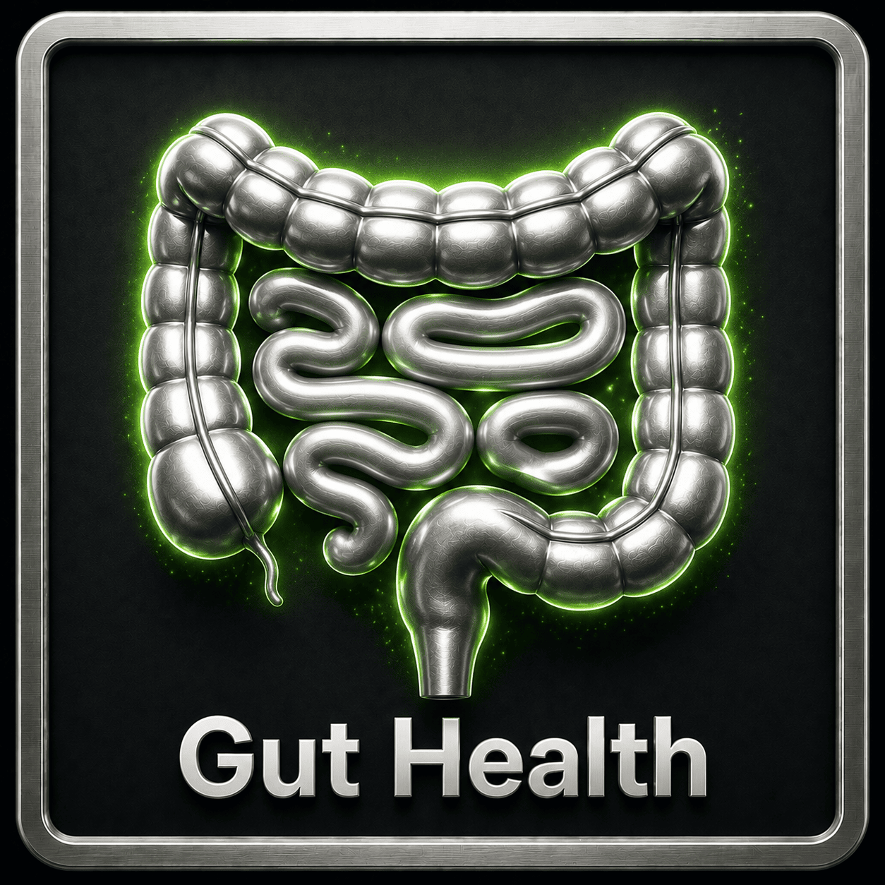 Gut Health & GI Repair