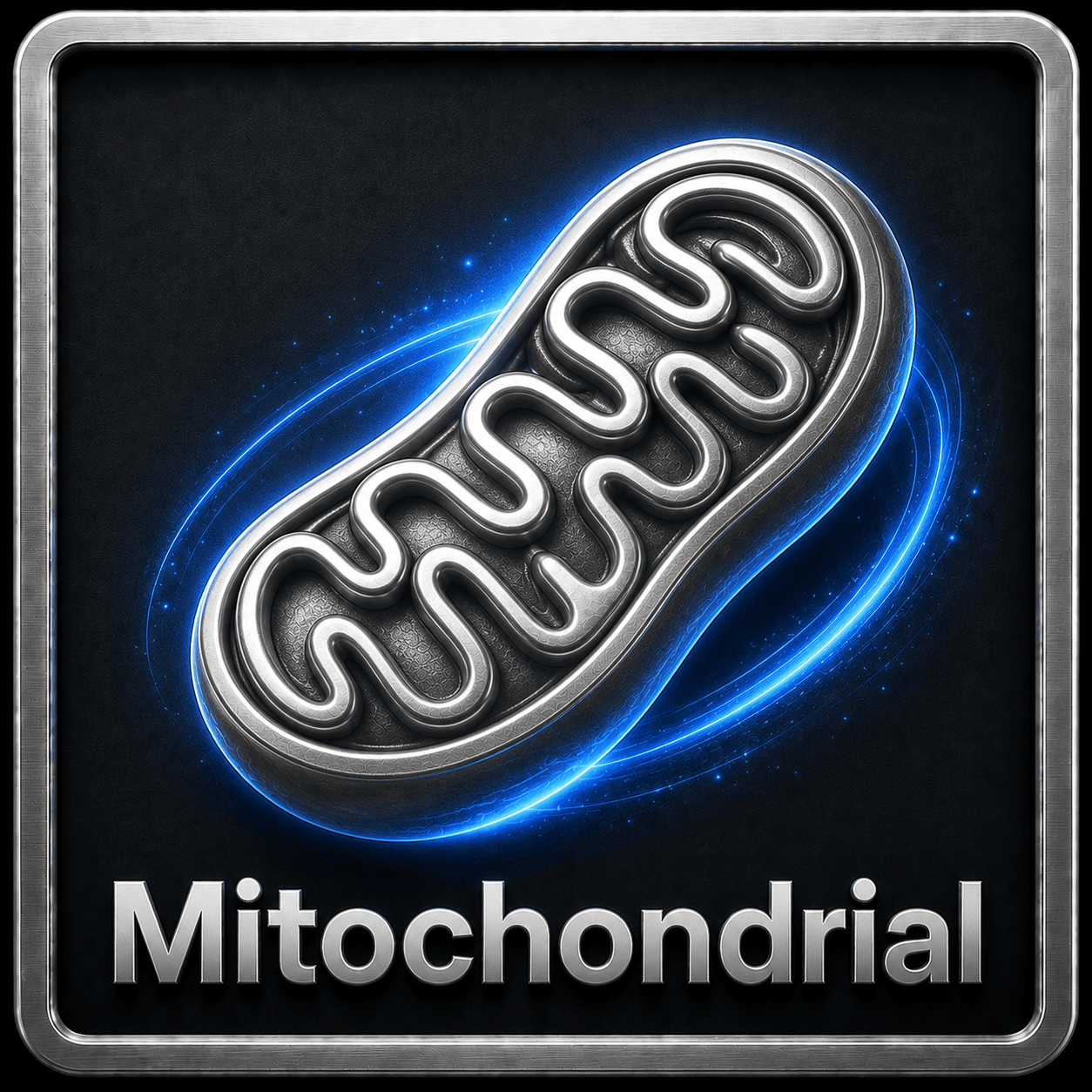 Mitochondrial Function